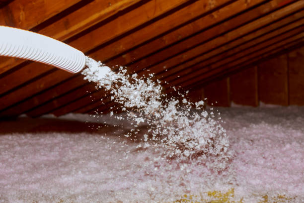 Types of Insulation We Offer in IL