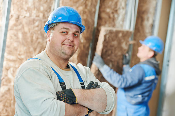 Best Insulation Maintenance and Repair in Tinley Park, IL